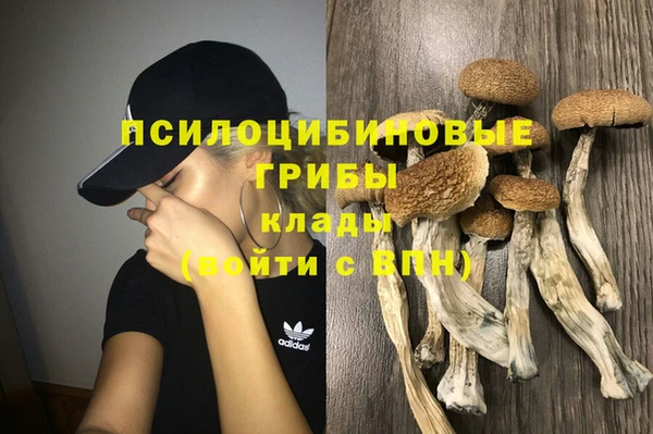 спиды Арсеньев