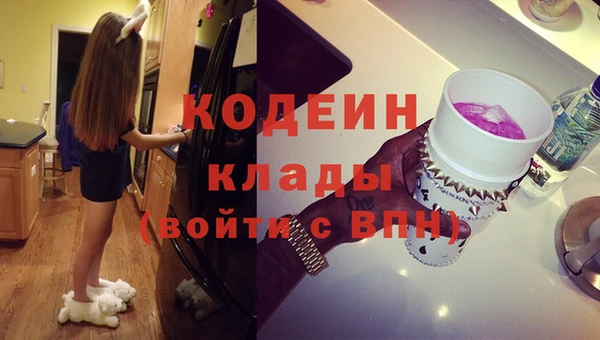 спиды Арсеньев