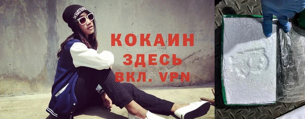 индика Балахна
