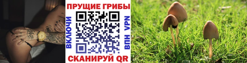 цена   Углич  даркнет какой сайт  Галлюциногенные грибы прущие грибы 