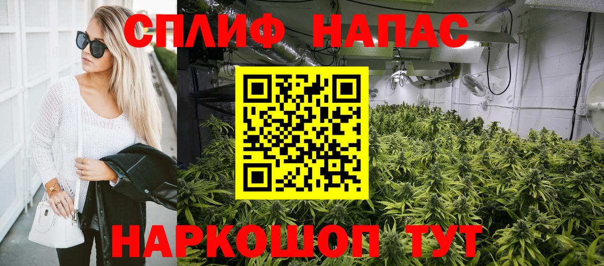 Бошки Шишки VHQ  Вход с VPN  Углич  Канабис Ganja  Бошки Шишки SATIVA & INDICA 